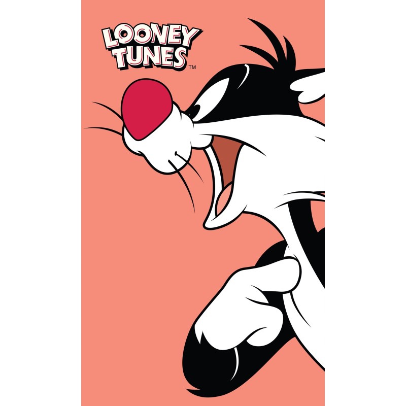 MAŁY RĘCZNIK DO PRZEDSZKOLA ŻŁOBKA 30X50 LOONEY TUNES RĘCZNICZEK