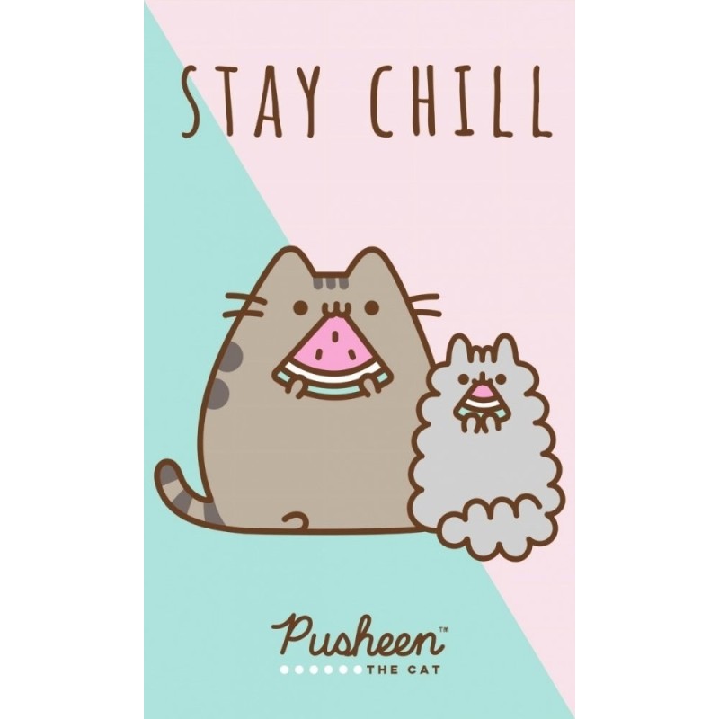 MAŁY RĘCZNIK DO PRZEDSZKOLA ŻŁOBKA 30X50 PUSHEEN KOT RĘCZNICZEK BAWEŁNA