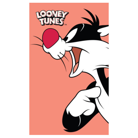 MAŁY RĘCZNIK DO PRZEDSZKOLA ŻŁOBKA 30X50 LOONEY TUNES RĘCZNICZEK