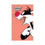 MAŁY RĘCZNIK DO PRZEDSZKOLA ŻŁOBKA 30X50 LOONEY TUNES RĘCZNICZEK