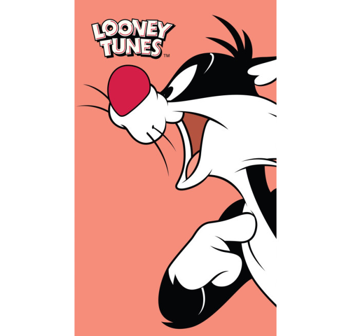 MAŁY RĘCZNIK DO PRZEDSZKOLA ŻŁOBKA 30X50 LOONEY TUNES RĘCZNICZEK