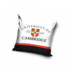 POSZEWKA NA JAŚKA 3D 40x40 UNIVERSITY OF CAMBRIDGE