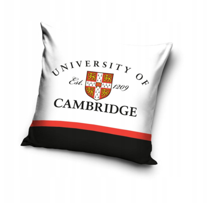 POSZEWKA NA JAŚKA 3D 40x40 UNIVERSITY OF CAMBRIDGE