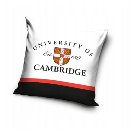 POSZEWKA NA JAŚKA 3D 40x40 UNIVERSITY OF CAMBRIDGE